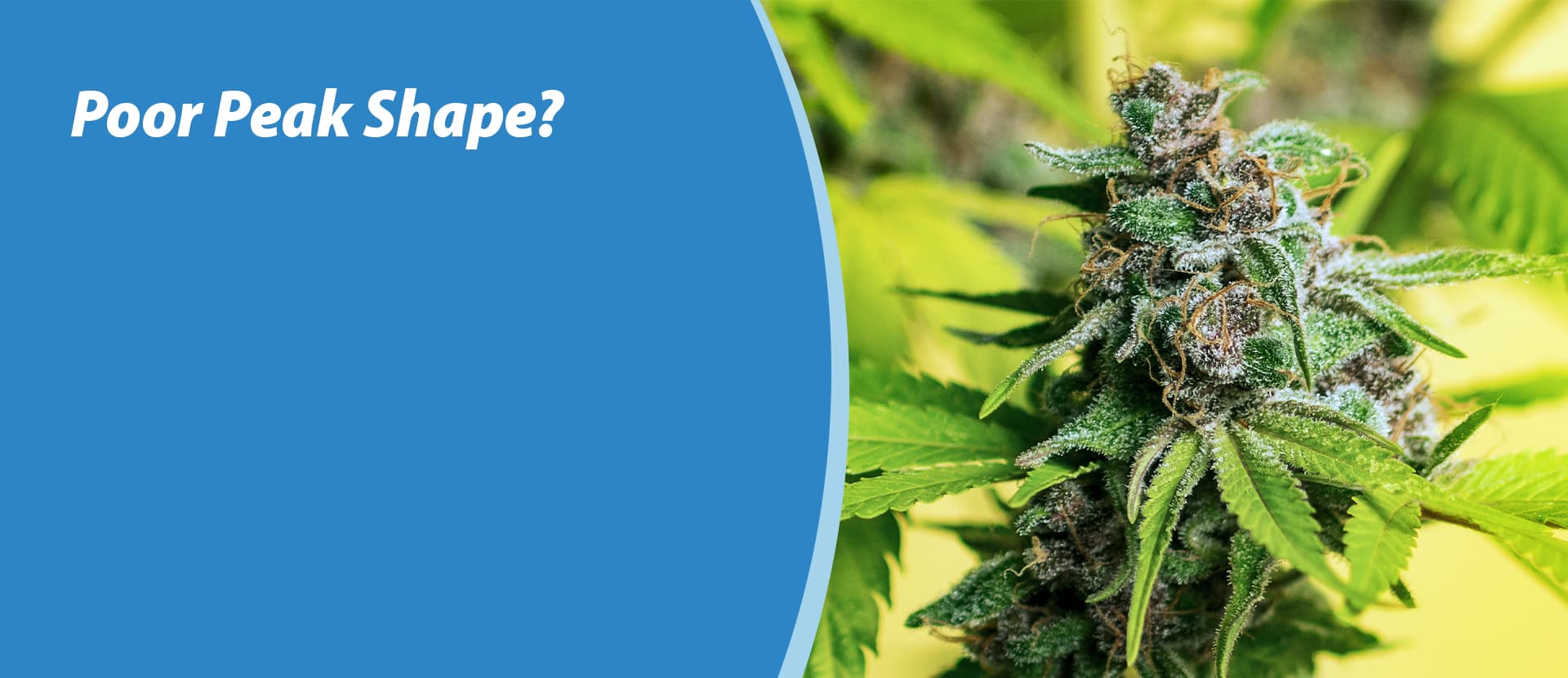 header GNOT4545 AOAC 2025 inert lc 01