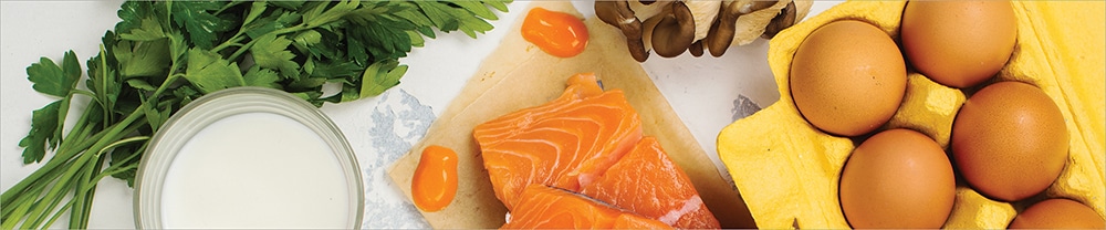 header article BASS2523A