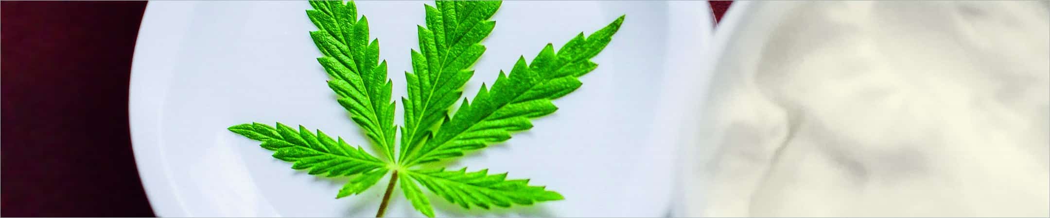 header article FFAN3315