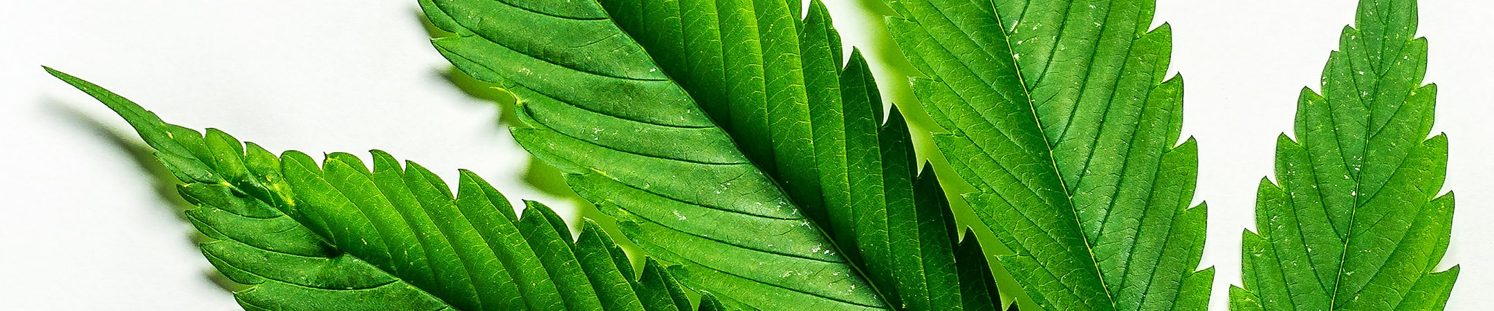 header article FFFA3123 UNV